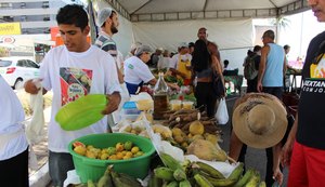 Feira Orgânica chega à quarta edição neste domingo (12) na Rua Fechada