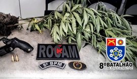 Em menos de 10h, guarnições da PM apreendem 36 armas de fogo em quatro cidades de AL