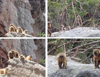 Cepram recebe relatório sobre Serra do Parafuso