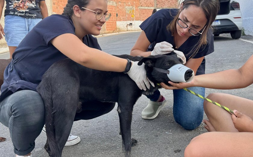 Lei estadual que garante proteção e o bem-estar dos animais já está em vigor