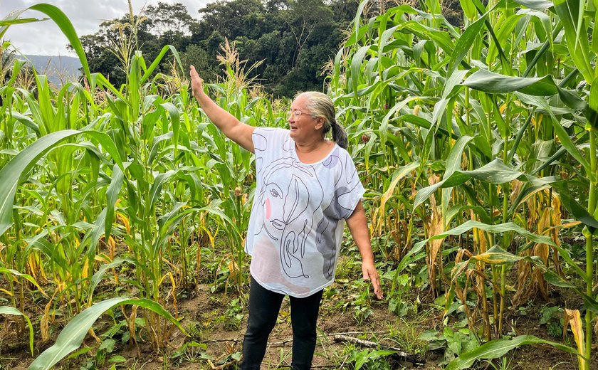 Agricultora comemora colheita de milho verde com sementes doadas pelo Planta Alagoas