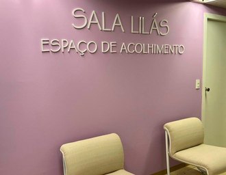 Comissão da Câmara aprova projeto que cria Sala Lilás para acolhimento de mulheres vítimas de violência