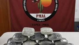 Homem é preso com quase 8 kg de maconha escondidos em Mercedes na BR-316