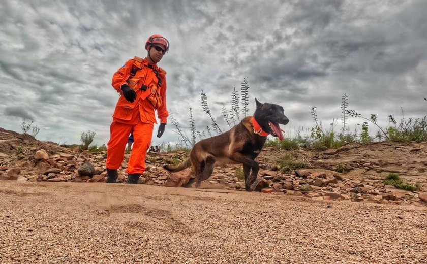 Cão farejador do Corpo de Bombeiros auxilia buscas por homem desaparecido em Piranhas