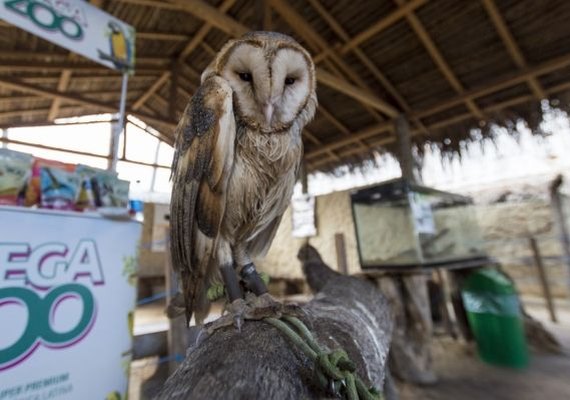 Crescimento do turismo em Maragogi possibilita chegada de novos investimentos