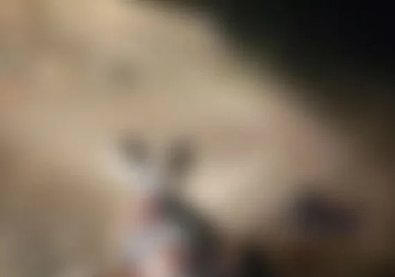 Homem morre atropelado por caminhão enquanto dormia em Delmiro Gouveia