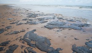 Petrobras retira mais de 200 toneladas de resíduo oleoso de praias do Nordeste