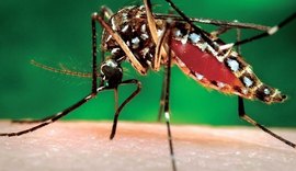 Número de casos de chikungunya sobe 1.400% em Alagoas
