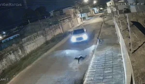 Vídeo: empresário que atropelou cão em Jaraguá é identificado e presta depoimento à polícia