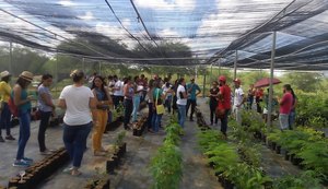 Estudantes de Geografia da Ufal realizam trabalho de campo no Semiárido