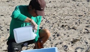 Amostras de diferentes trechos de praias de Alagoas indicam águas livres de contaminação
