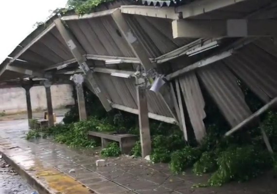 Árvore cai após chuvas e derruba parte de estrutura de terminal de ônibus em Maceió