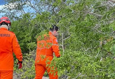 Bombeiros realizam buscas por pessoa desaparecida em mata no Sertão de Alagoas