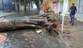 Em dois dias, fortes chuvas provocam estragos em Maceió