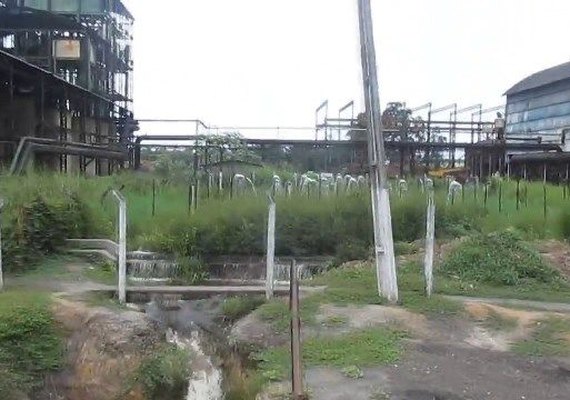 Usina Santa Maria paralisa atividades