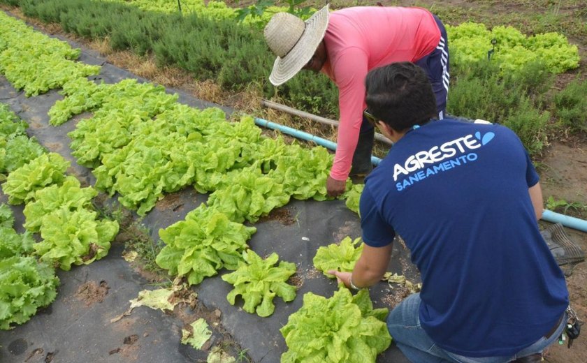 Agricultores de Arapiraca recebem mantas do projeto Agreste Rural