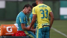 Palmeiras planeja 'mistão' contra o Grêmio de olho no título