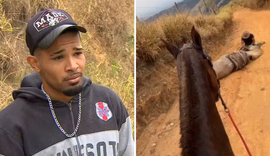 'Cortei por cortar': homem que cortou patas de cavalo disse que estava alcoolizado e se diz arrependido