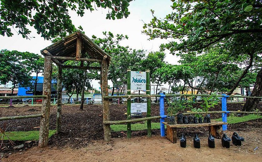 Hortas e pomares urbanos minimizam pontos de lixo em Maceió