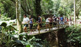 Parque Municipal fecha para visitas durante este final de semana