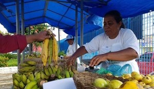 Governo promove 4ª edição da Feira Orgânica nesta terça (7) na Semarh