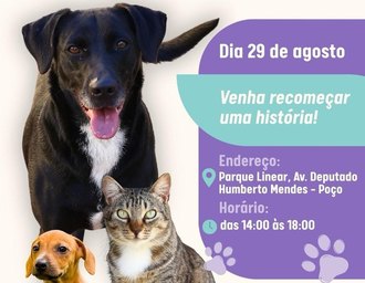 Bairro do Poço recebe feira de adoção de animais neste sábado