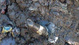 Lixo em tubulação é principal causa de alagamentos em período de chuva