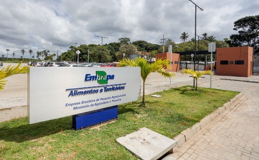 Nova infraestrutura amplia capacidade de pesquisa da Embrapa Alimentos e Territórios