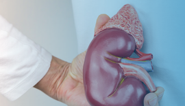 Câncer de rim: estudo aponta aumento de sobrevida com nova terapia combinada