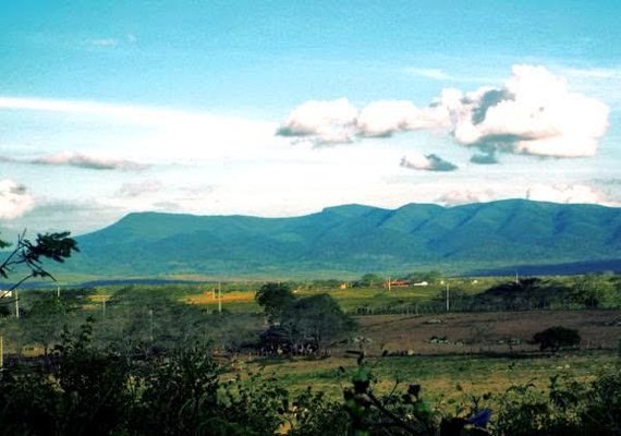 CBHSF lança projeto de recuperação hidroambiental nesta terça em Alagoas