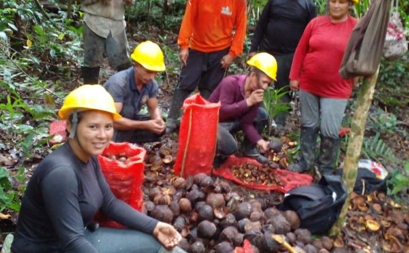 Projeto Fitoterápicos ajuda região amazônica ampliar a oferta de produtos feitos com plantas medicinais