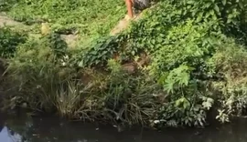 Criança é flagrada  em riacho de Arapiraca tentando interagir com jacarés