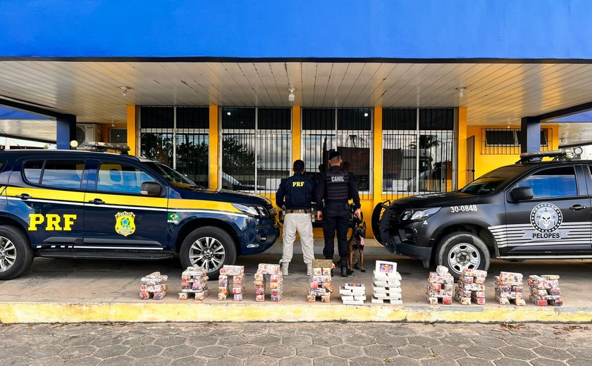 Polícias apreendem mais de 100 kg de drogas em São Sebastião