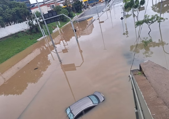 SP: chuva causa deslizamentos de terra, queda de árvores e alagamentos