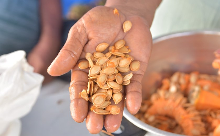 Feira da Agricultura Familiar da Fetag/AL garante alimentos fresquinhos direto da roça