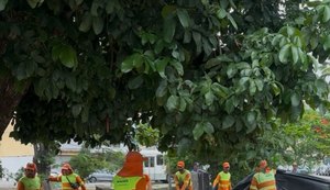 Após reivindicações do vereador Delegado Thiago Prado, barracos da Praça Sinimbu são removidos