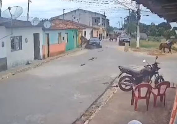 Inquérito policial é aberto para apurar atropelamento de dois irmãos e cavalos em São Brás