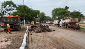 Dique Estrada: mutirão recolhe mais de 250 toneladas de resíduos