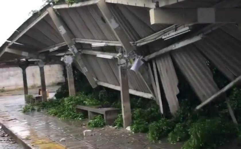 Árvore cai após chuvas e derruba parte de estrutura de terminal de ônibus em Maceió