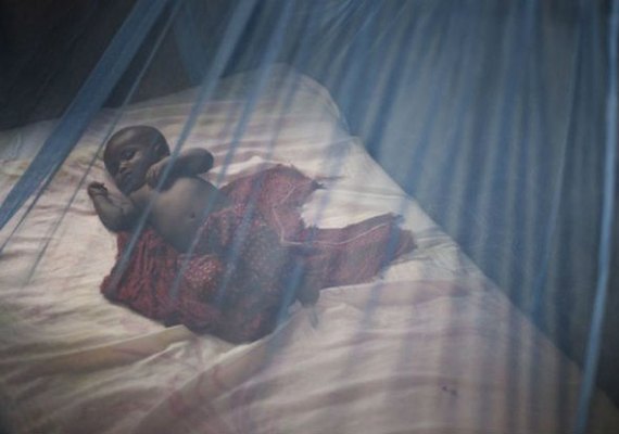 Fundação Gates investe na eliminação da malária no Brasil