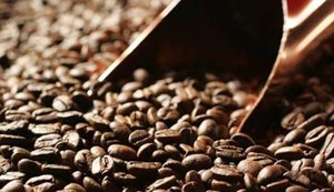 Exportação de café verde do Brasil tem menor volume em mais de 10 anos