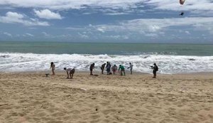 Mutirão convocado por redes sociais realiza limpeza de rios e praias em Maragogi