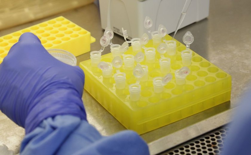 Fiocruz: vacina contra covid-19 pode chegar a testes clínicos em 2021