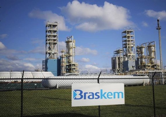 Ex-responsável técnico de mineradora em Alagoas não comparece na audiência da CPI da Braskem