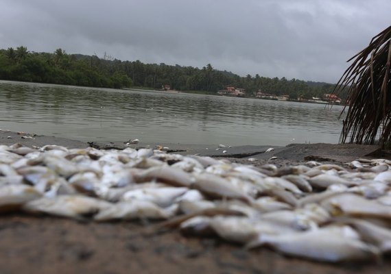 Mortandade de peixes no complexo lagunar Mundaú-Manguaba é tema de sessão especial