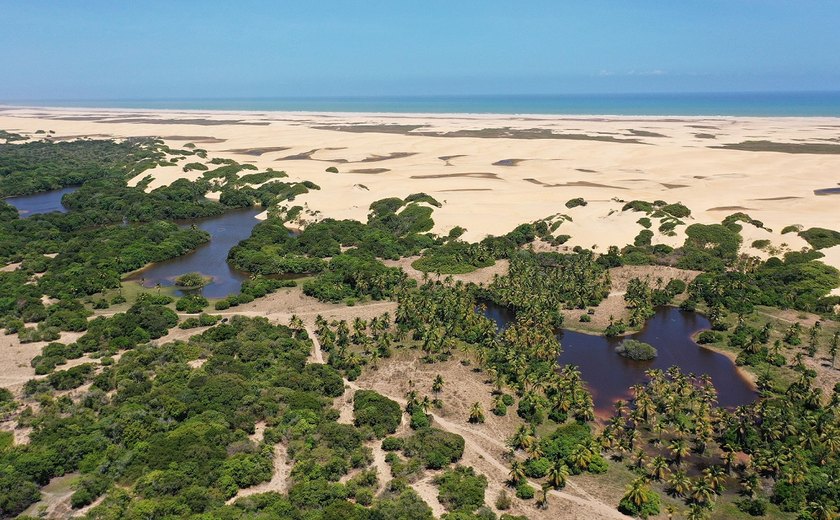 Justiça determina que município de Piaçabuçu cumpra acordo com o MPF para defesa de área de proteção ambiental