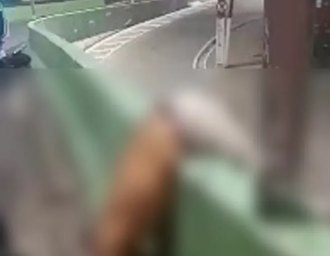 Motociclista morre e passageira fica ferida em acidente no Viaduto João Lyra