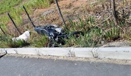 Motociclista perde a vida em acidente na AL110