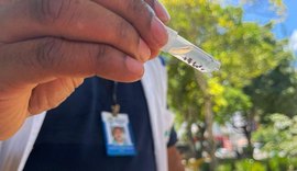 Vigilância de Zoonoses  faz vistoria e interdita praça com focos de carrapatos na Gruta