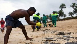 Limpeza de óleo em praias do Nordeste deixa voluntários doentes